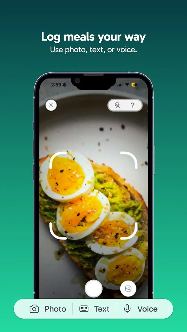 The Flourish camera screen framing a plate of avocado toast, with photo, text, and voice logging options along the bottom